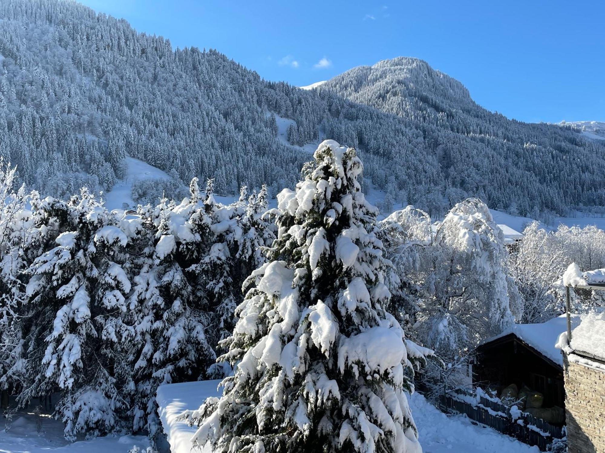 Bacherwiese Penthouse By Alpine Host Helpers Kitzbuhel Luaran gambar